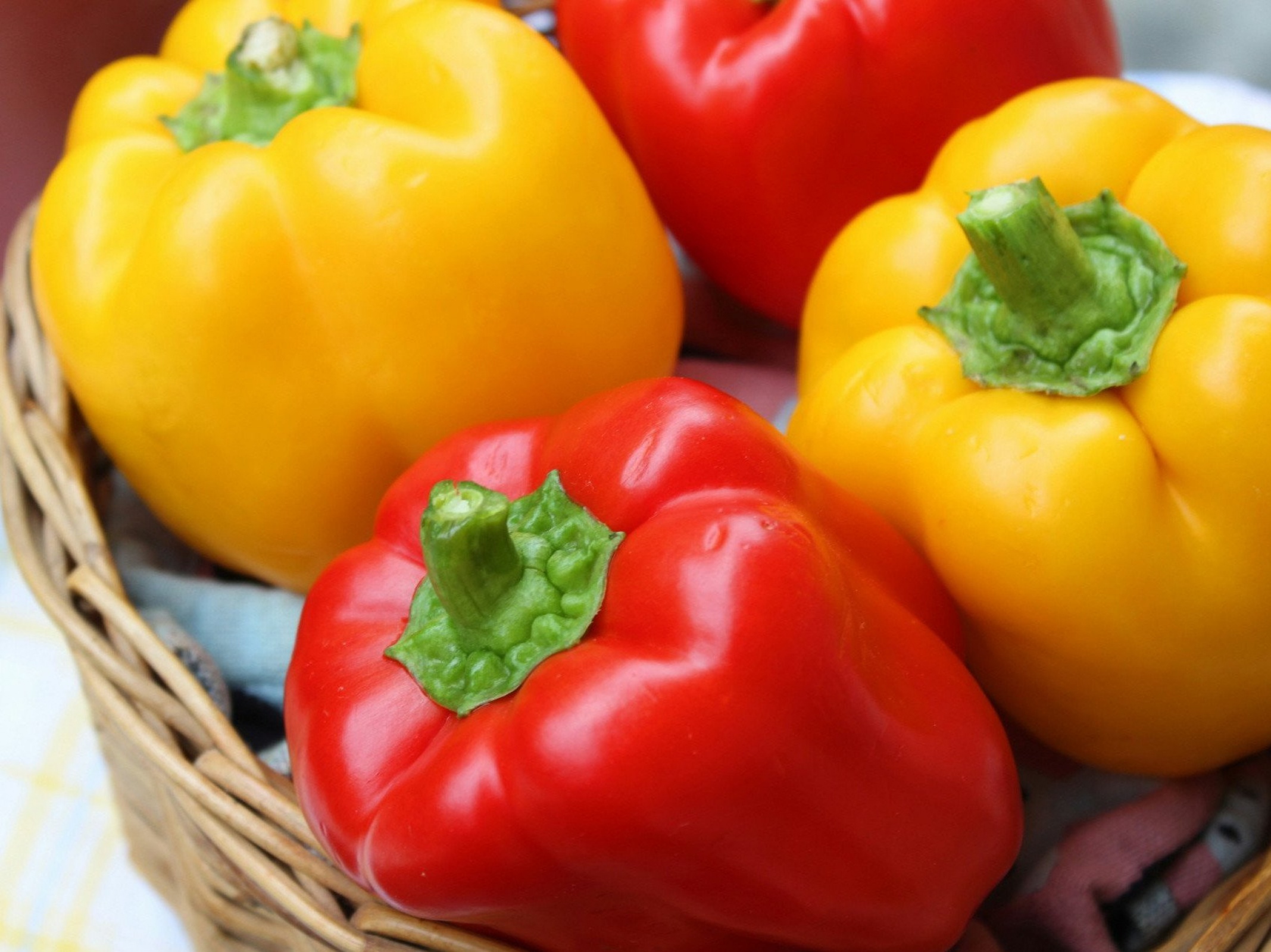 Яйцо столовое куриное пищевое деревенское первой категории